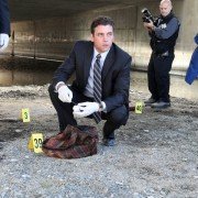 Law & Order: Los Angeles - galeria zdjęć - filmweb