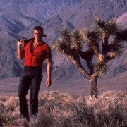 Joshua Tree - galeria zdjęć - filmweb