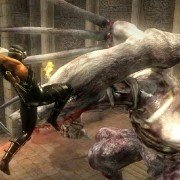 Ninja Gaiden Sigma Plus - galeria zdjęć - filmweb