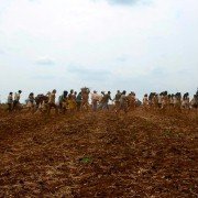 BirdWatchers - La terra degli uomini rossi - galeria zdjęć - filmweb