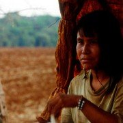 BirdWatchers - La terra degli uomini rossi - galeria zdjęć - filmweb