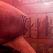 Noc rekinów 3D - galeria zdjęć - filmweb