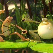 Les As de la Jungle En Direct - galeria zdjęć - filmweb
