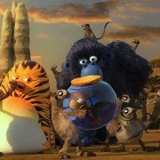 Les As de la Jungle En Direct - galeria zdjęć - filmweb