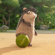 Les As de la Jungle En Direct - galeria zdjęć - filmweb