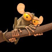 Les As de la Jungle En Direct - galeria zdjęć - filmweb