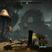 The Elder Scrolls Online: Morrowind - galeria zdjęć - filmweb