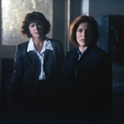 The X Files - galeria zdjęć - filmweb