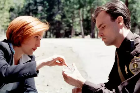 Z Archiwum X - galeria zdjęć - filmweb