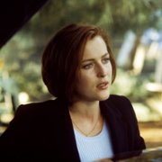 The X Files - galeria zdjęć - filmweb