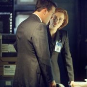 The X Files - galeria zdjęć - filmweb