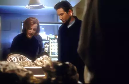 Z Archiwum X - galeria zdjęć - filmweb