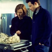 The X Files - galeria zdjęć - filmweb