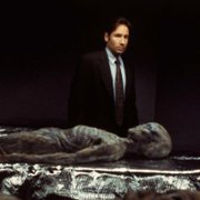 The X Files - galeria zdjęć - filmweb