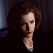 The X Files - galeria zdjęć - filmweb