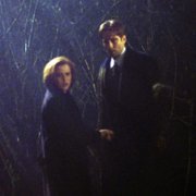 The X Files - galeria zdjęć - filmweb