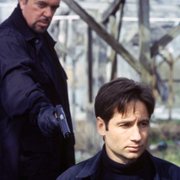 The X Files - galeria zdjęć - filmweb