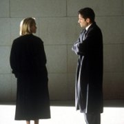 The X Files - galeria zdjęć - filmweb