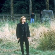 The X Files - galeria zdjęć - filmweb