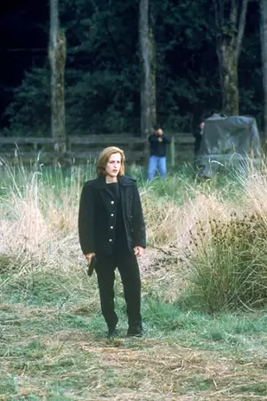 Z Archiwum X - galeria zdjęć - filmweb