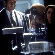 The X Files - galeria zdjęć - filmweb