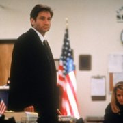 The X Files - galeria zdjęć - filmweb