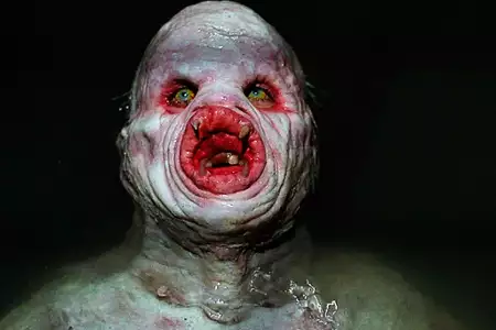 Z Archiwum X - galeria zdjęć - filmweb