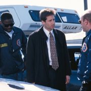 The X Files - galeria zdjęć - filmweb