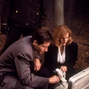 The X Files - galeria zdjęć - filmweb