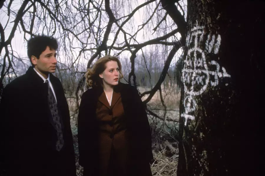 Z Archiwum X - galeria zdjęć - filmweb