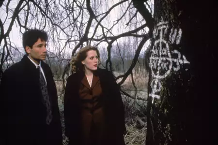 Z Archiwum X - galeria zdjęć - filmweb
