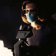 The X Files - galeria zdjęć - filmweb