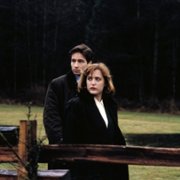 The X Files - galeria zdjęć - filmweb