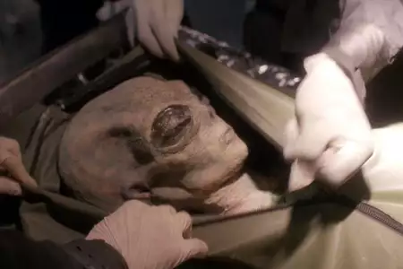 Z Archiwum X - galeria zdjęć - filmweb