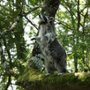 Bambi. Opowieść leśna - galeria zdjęć