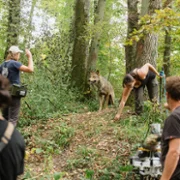 Bambi, l'histoire d'une vie dans les bois - galeria zdjęć - filmweb