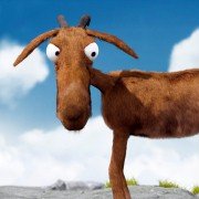 Kopf Hoch! - galeria zdjęć - filmweb