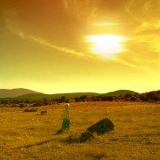 Desolado - galeria zdjęć - filmweb