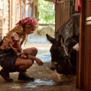 Narzeczony na niby 2 - galeria zdjęć - filmweb
