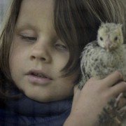 Ptasiek - galeria zdjęć - filmweb