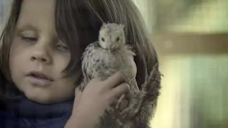 Ptasiek - galeria zdjęć - filmweb