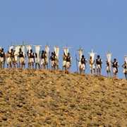 Joseph - galeria zdjęć - filmweb