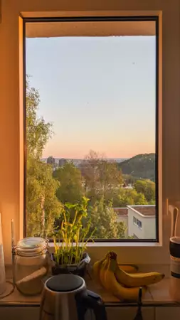 View from my window - galeria zdjęć - filmweb