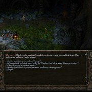 Pillars of Eternity - galeria zdjęć - filmweb