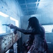 True History of the Kelly Gang - galeria zdjęć - filmweb