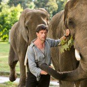 The Zookeeper's Wife - galeria zdjęć - filmweb