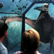 Jurassic Park III - galeria zdjęć - filmweb