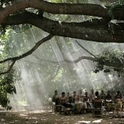 Wietrzne podróże - galeria zdjęć - filmweb