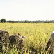 Los viajes del viento - galeria zdjęć - filmweb
