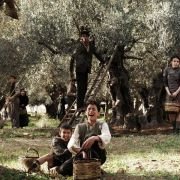 Baarìa - galeria zdjęć - filmweb